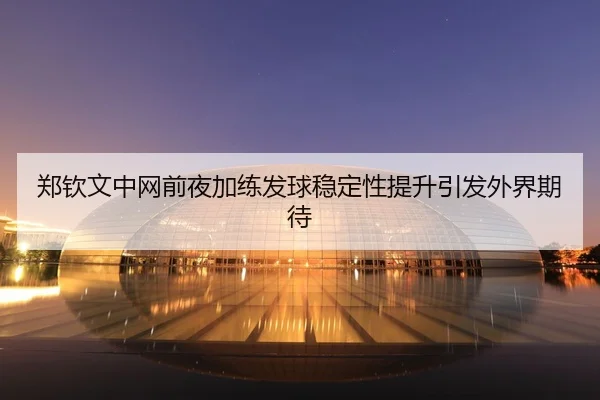 郑钦文中网前夜加练发球稳定性提升引发外界期待 - HTH